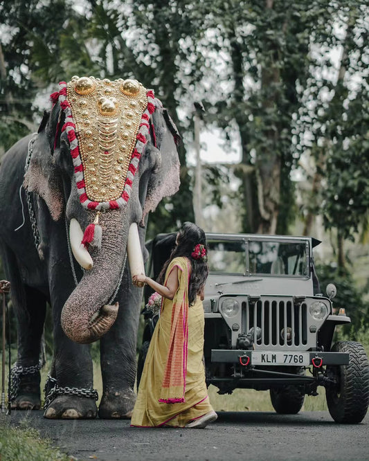 Begum Saree - Eternity by Sakshi