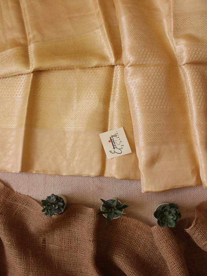 Handwoven Nude Tissue Banarasi Saree - Eternity by Sakshi