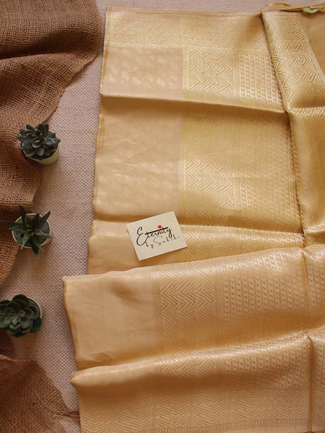 Handwoven Nude Tissue Banarasi Saree - Eternity by Sakshi