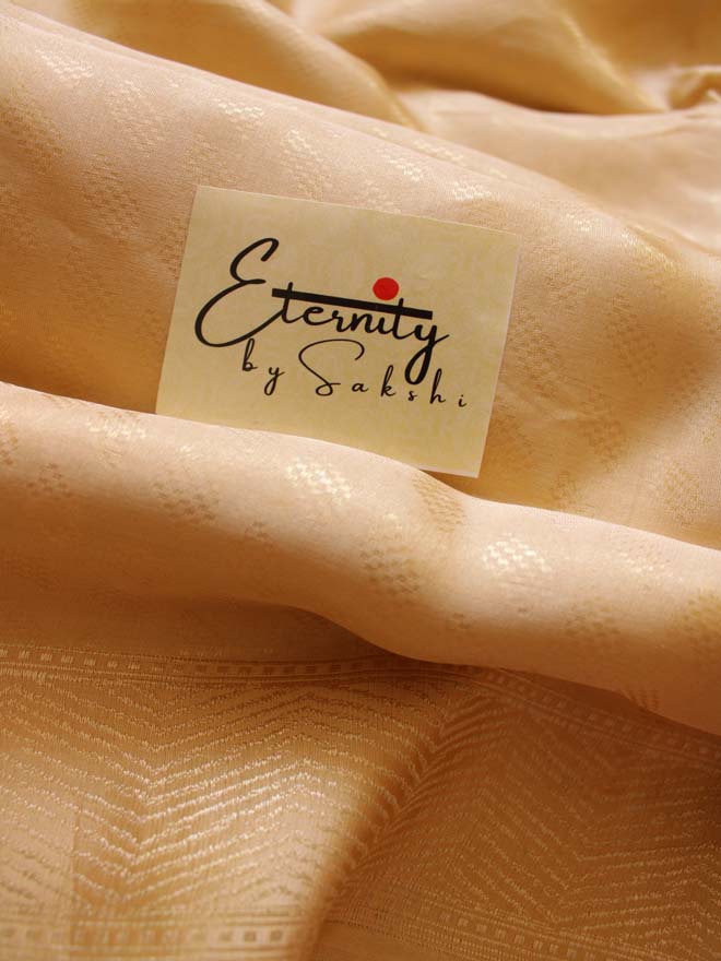 Handwoven Nude Tissue Banarasi Saree - Eternity by Sakshi