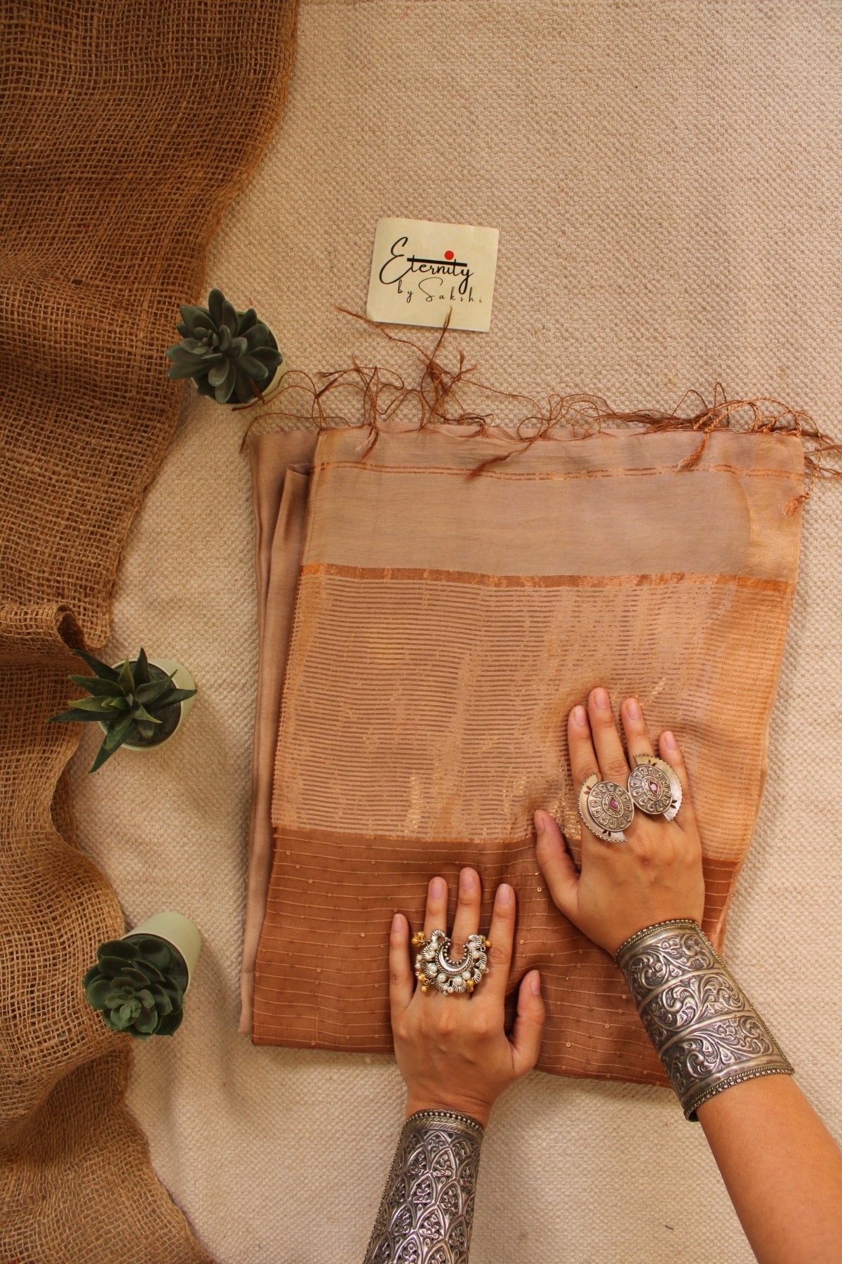 Beige Raga Resham Saree - Eternity by Sakshi