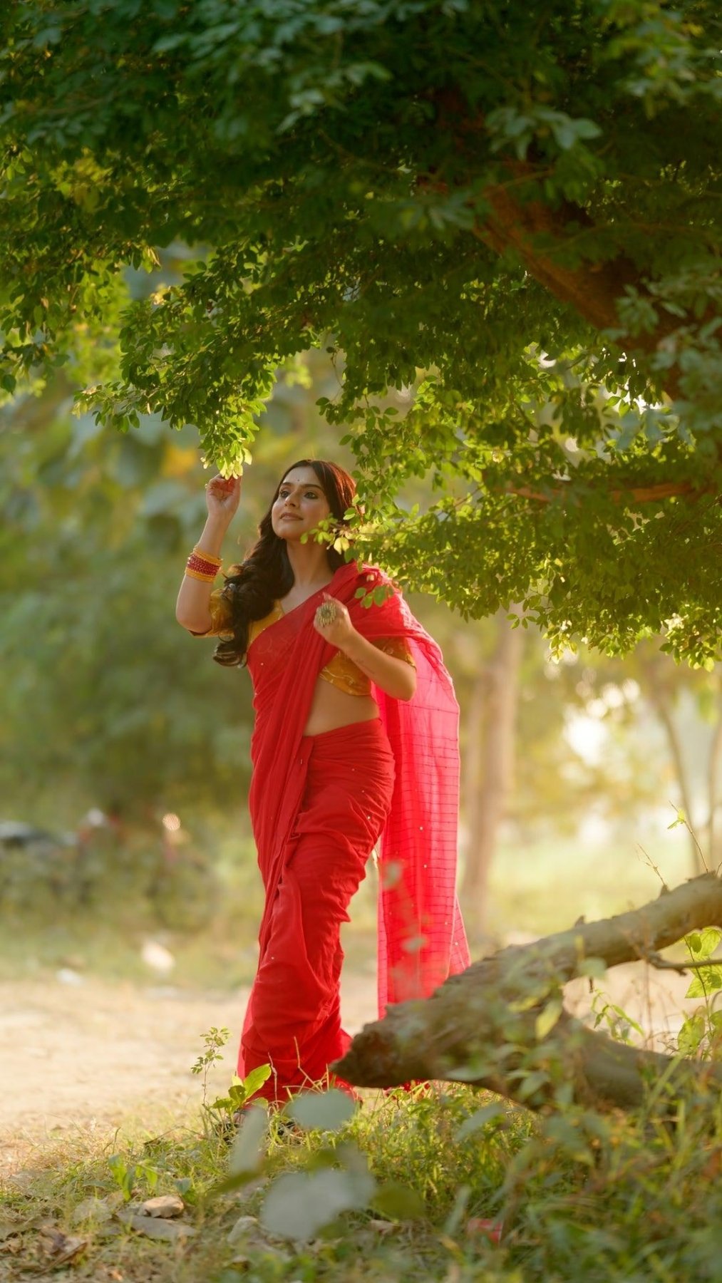 RED TARA SAREE - Eternity by Sakshi