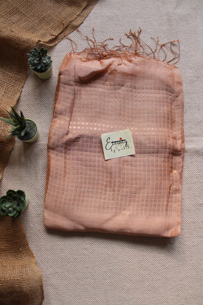 Beige Sundari Saree - Eternity by Sakshi