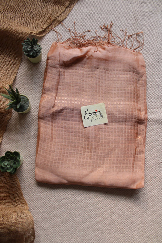 Beige Sundari Saree - Eternity by Sakshi