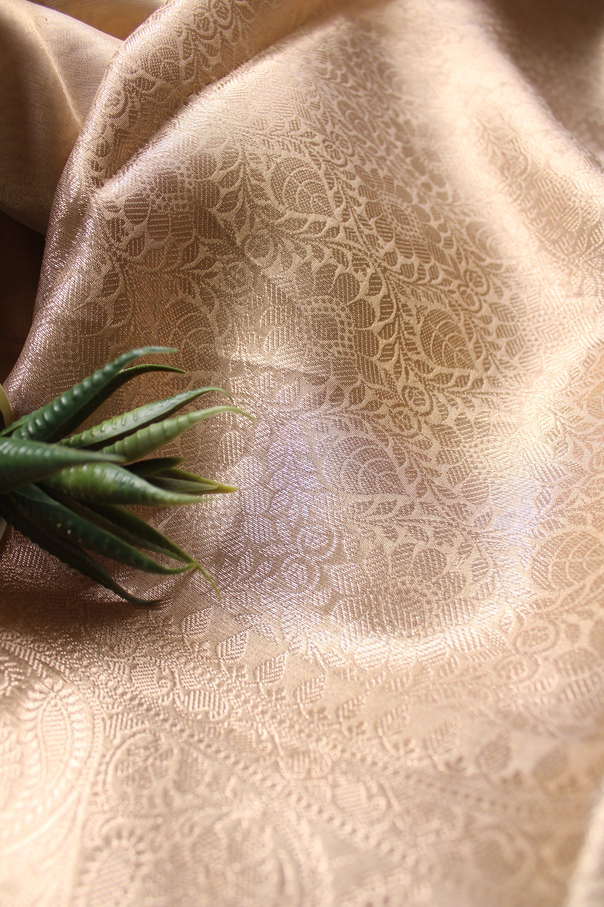 Tissue Golden Work Saree