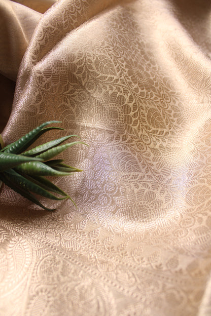Tissue Golden Work Saree