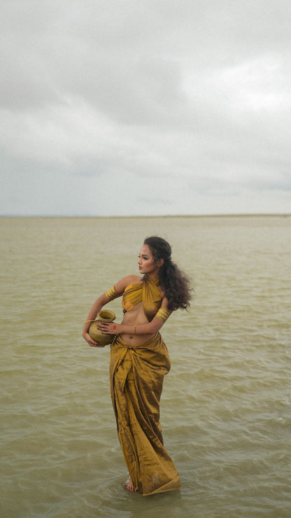 Rambha Leela Saree