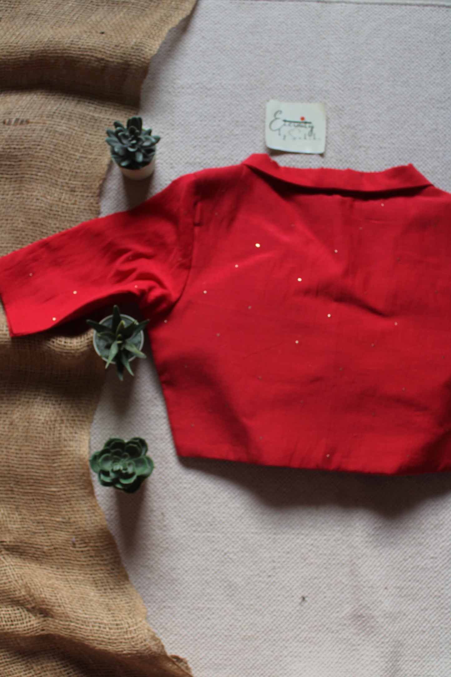 Red Spark Collar Blouse