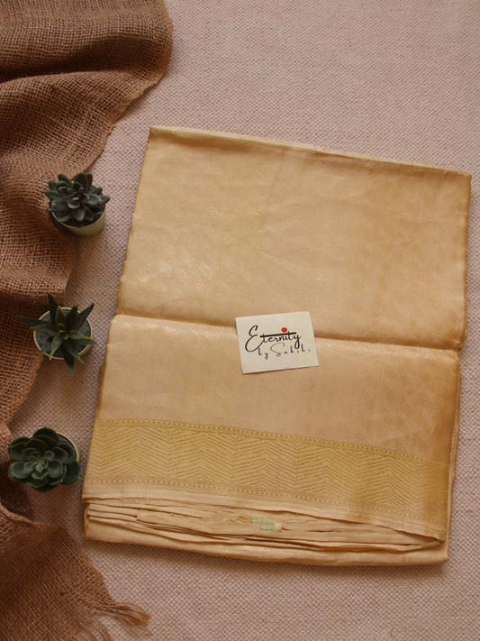 Handwoven Nude Tissue Banarasi Saree - Eternity by Sakshi