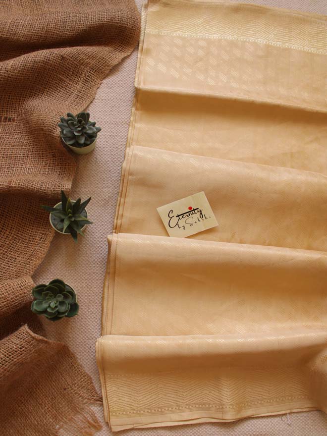 Handwoven Nude Tissue Banarasi Saree - Eternity by Sakshi