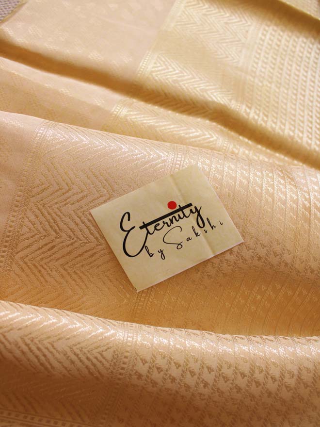 Handwoven Nude Tissue Banarasi Saree - Eternity by Sakshi