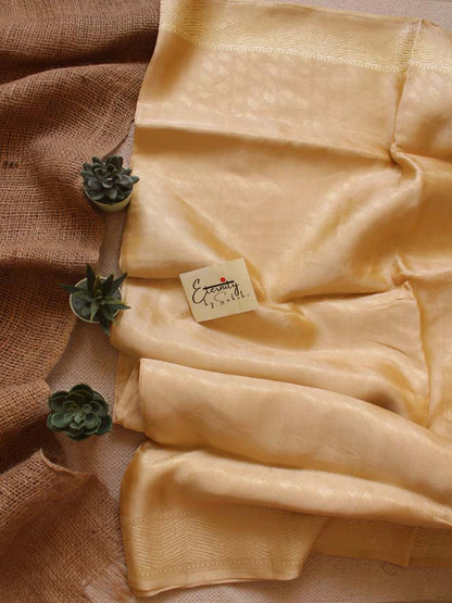 Handwoven Nude Tissue Banarasi Saree - Eternity by Sakshi