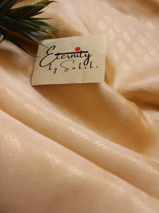 Handwoven Nude Tissue Banarasi Saree - Eternity by Sakshi