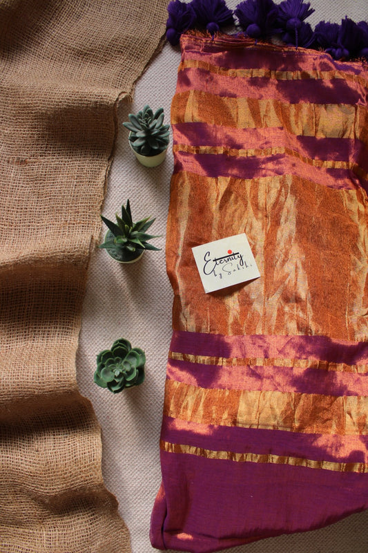 Zari Symphony Saree - Eternity by Sakshi