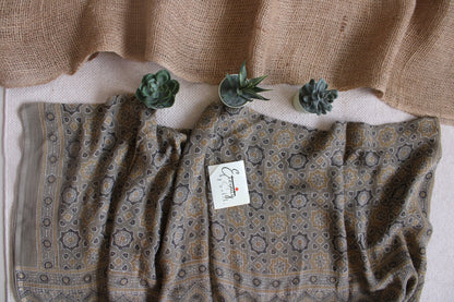 Earthy Lily Ajrakh Saree - Eternity by Sakshi