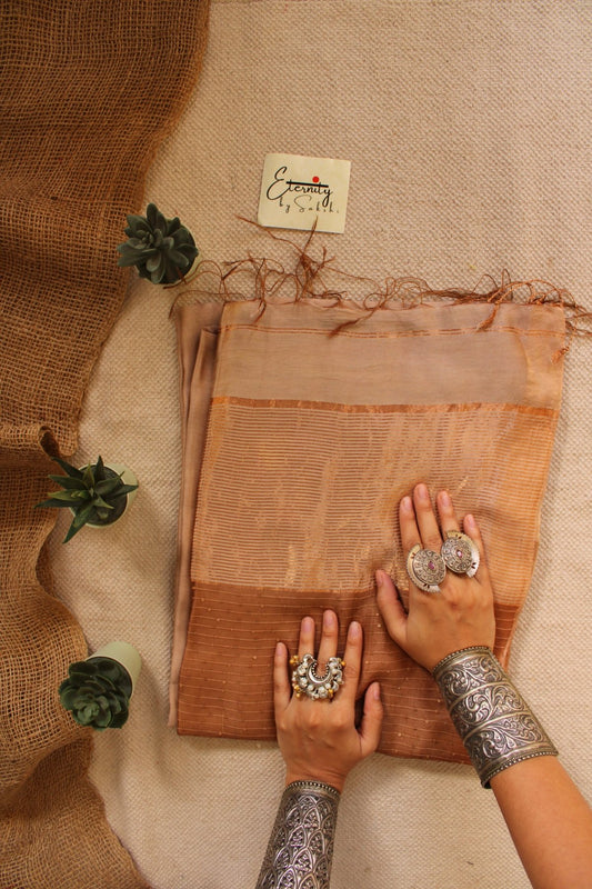 Beige Raga Resham Saree - Eternity by Sakshi
