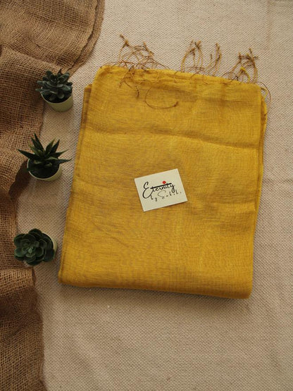 Yellow Raatein Saree + Fuscia Noorie Blouse Combo - Eternity by Sakshi